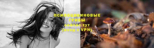 молекула духа Баксан