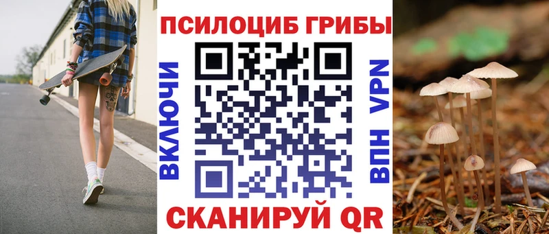 продажа наркотиков  Зверево  Псилоцибиновые грибы ЛСД 